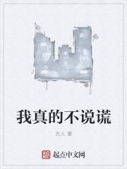 我不说谎了