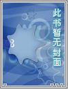 这个丑陋又美丽的世界评价