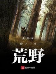 我捡了一片荒野结局