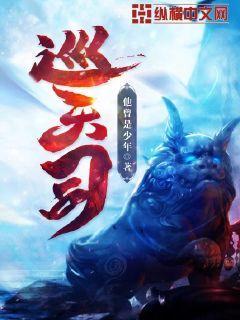 巡天司全本TXT