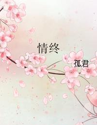 情终简介