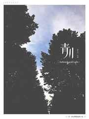 青川竹园镇