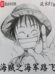 海贼之路飞参上全文