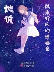 她来听我的演唱会这首歌的含义