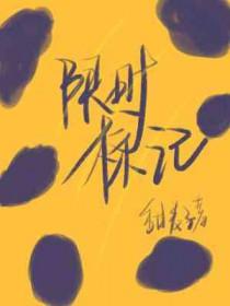 限时标志