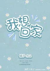 我想回家下一句怎么说