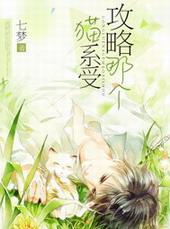 攻略系统受