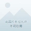 末世之开局复活女丧尸