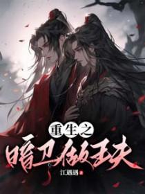 暗卫重生王爷攻