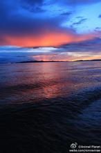 沧海笑写的