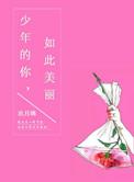 少年的你如此美丽讲啥