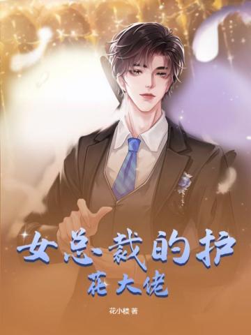 美女总裁的护花保镖全文
