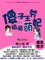 傻子王爷