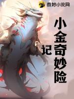 小金的奇妙生活