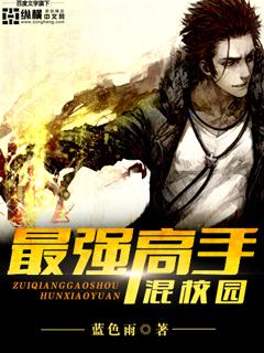 最强高手在校园续集