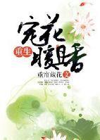 重生暖婚宠妻全文阅读