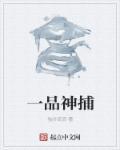 一品神捕全集