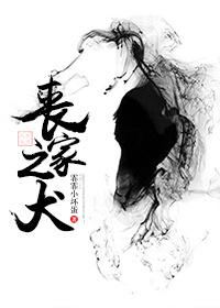 丧家之犬是什么生肖动物