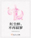 红尘醉红尘累歌词是什么意思