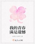 我的青春不遗憾作文600字作文