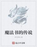 魔法书啥意思