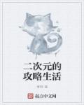 二次元手游攻略app