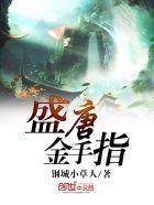 盛唐编辑器