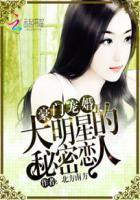 豪门明星系列