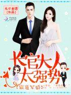 十部必看的军婚长官爱人