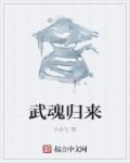 完结武魂