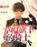 草帽一伙职位