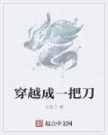 穿越成为了一把剑