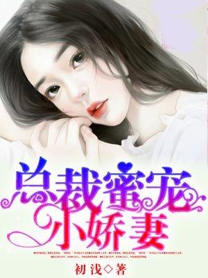 总裁蜜宠小娇妻初浅