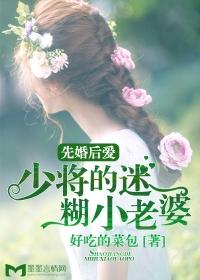 先婚后爱冷少的军婚妻