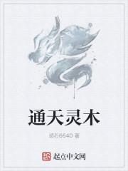 通天灵宝排行榜
