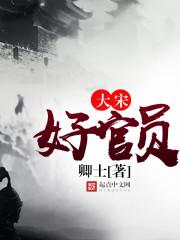宋朝大官人全文免费阅读