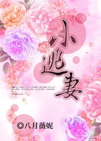 乔爷满城缉小逃妻