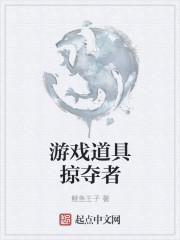 掠夺者攻略
