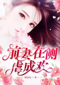 书名前妻在侧虐成欢