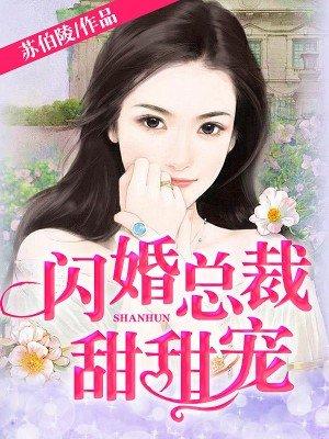 闪婚甜宠总裁请温柔