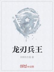 龙溂兵王