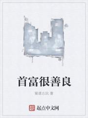首富是啥