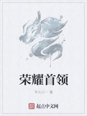荣耀领域