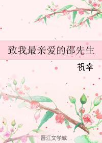 致我亲爱的邵先生全文免费阅读
