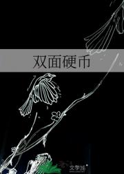 双面硬币