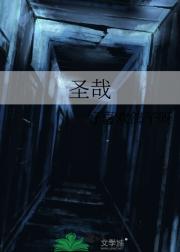 圣哉