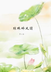 琼珠碎又圆