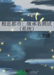 极恶都市：继承者测试（系统）