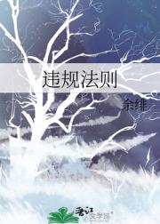违规法则