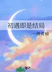 初遇即是结局